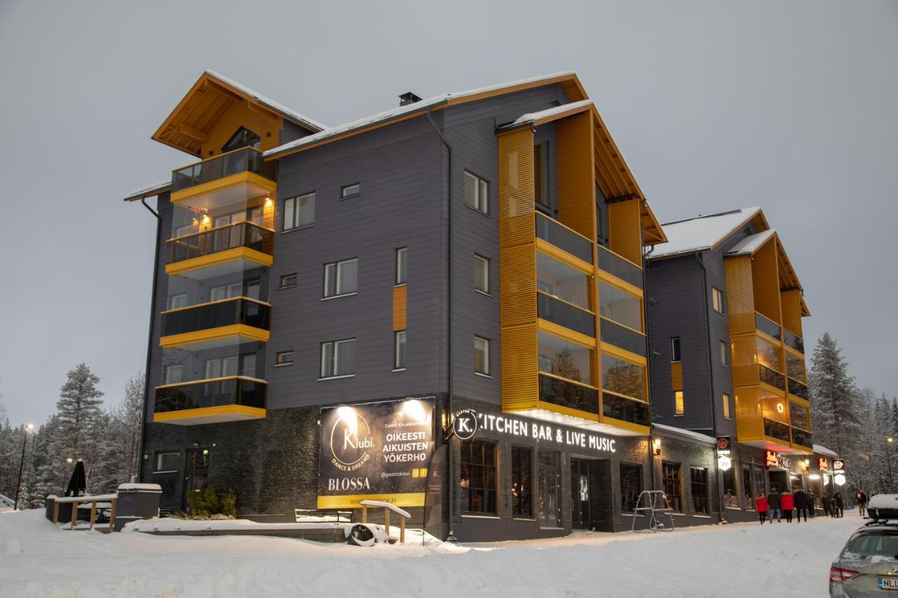 Levin Kunkku B2 Apartment Grey ภายนอก รูปภาพ