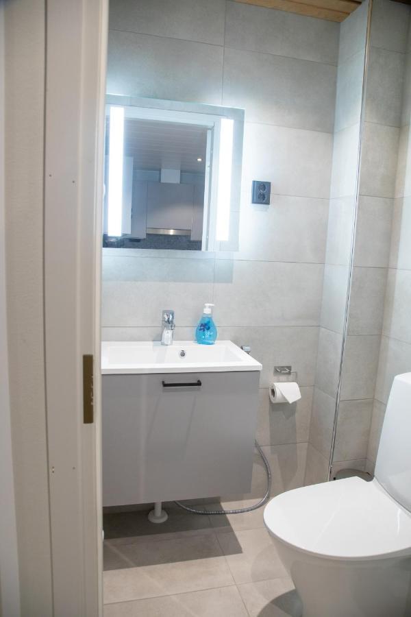 Levin Kunkku B2 Apartment Grey ภายนอก รูปภาพ
